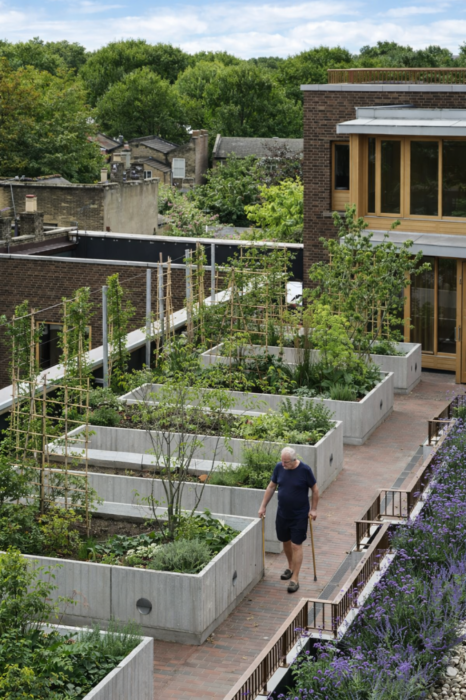 El edificio incorpora terrazas verdes y recorridos accesibles