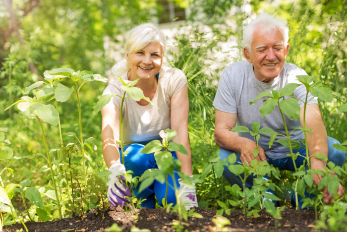 Jardinería en adultos mayores